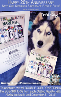 20th anniversary offer 20th Anniversary offer