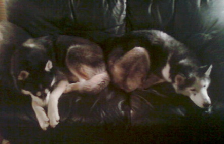 Nakishka and Georgie