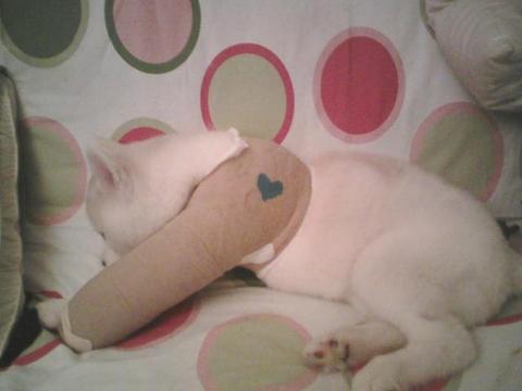 Maxine in her cast