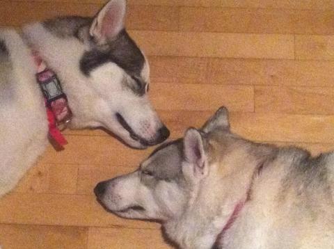 Kyah and Tikanni Rose